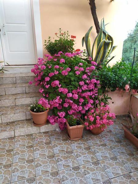 AsfendilesGarden Of Olive Trees别墅 外观 照片